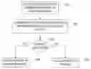 Fig. 01 - Managing requests of operating systems executing in virtual machines