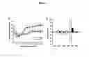Fig. 02 - Role of proteoglycans in drug dependence