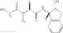 Fig. 09 - Role of proteoglycans in drug dependence