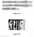 Fig. 02 - BCL-2-MODIFYING FACTOR (BMF) SEQUENCES AND THEIR USE IN MODULATING APOPTOSIS