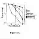 Fig. 07 - BCL-2-MODIFYING FACTOR (BMF) SEQUENCES AND THEIR USE IN MODULATING APOPTOSIS