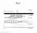 Fig. 03 - NOVEL POLYGALACTURONASES AND THEIR USES
