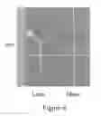 Fig. 13 - SHADE TOLERANCE IN PLANTS