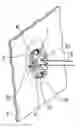 Fig. 01 - PIECE FOR ATTACHING BUTTONS OR THE LIKE AND BUTTON FOR ATTACHMENT THERETO