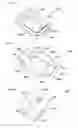 Fig. 13 - PIECE FOR ATTACHING BUTTONS OR THE LIKE AND BUTTON FOR ATTACHMENT THERETO