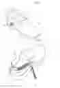 Fig. 03 - Shoe with elasticity