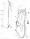 Fig. 02 - Shoe and removably securable shoe insert
