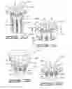Fig. 20 - METHOD OF CONTAINING A FLORAL GROUPING OR POTTED PLANT