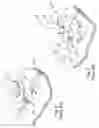 Fig. 06 - COVERED DOOR PANEL HAVING AN APERTURE AND METHOD OF MANUFACTURING SAME