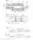 Fig. 02 - APPARATUS AND METHOD FOR PRODUCTION OF DISPLAY GLASS
