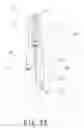 Fig. 25 - Laser ultrasonic detection device including a laser oscillating device which includes a seed laser oscillating element