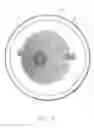 Fig. 09 - IMPACT DIESEL PARTICULATE FILTER