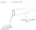 Fig. 02 - Penile Cap