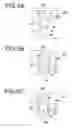 Fig. 09 - Fluid transport device and fluid transport control method