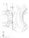 Fig. 08 - PROCESS AND APPARATUS FOR MANUFACTURING A REINFORCING STRUCTURE FOR TYRES OF VEHICLES