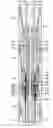 Fig. 01 - Field joint for a downhole tool