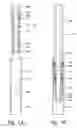 Fig. 08 - Field joint for a downhole tool