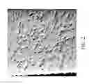 Fig. 03 - Additives for grain fragmentation in Pb-free Sn-based solder
