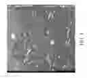 Fig. 04 - Additives for grain fragmentation in Pb-free Sn-based solder