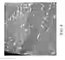 Fig. 05 - Additives for grain fragmentation in Pb-free Sn-based solder
