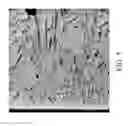 Fig. 06 - Additives for grain fragmentation in Pb-free Sn-based solder