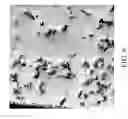 Fig. 07 - Additives for grain fragmentation in Pb-free Sn-based solder