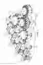 Fig. 06 - Vessel conveying device separating a main vessel flow into a plurality of secondary flows