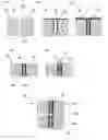 Fig. 01 - Process for through silicon via filling