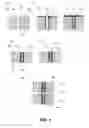 Fig. 02 - Process for through silicon via filling