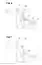 Fig. 07 - Method and device for immersion treatment of vehicle