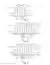 Fig. 02 - HYDROGEN GENERATOR