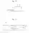 Fig. 10 - Wafer test method and wafer test apparatus