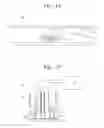 Fig. 12 - Wafer test method and wafer test apparatus