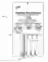 Fig. 01 - DISPOSABLE TOOTHBRUSH