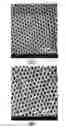 Fig. 01 - Nano-patterned metal electrode for solid oxide fuel cell