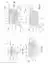 Fig. 10 - Non-contact substrate processing