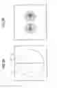 Fig. 06 - Solid state imaging device and electronic apparatus