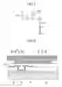 Fig. 04 - Organic light emitting diode display