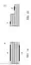Fig. 02 - Multi-chip light emitting diode and method for fabricating the same