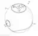 Fig. 01 - Baffled treatball