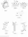 Fig. 06 - Gas seal for aerospace engines and the like
