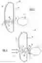 Fig. 03 - Deployable energy managing pelvic pusher for use in vehicle