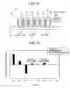 Fig. 09 - Linear motor including extended tooth tips