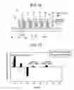 Fig. 10 - Linear motor including extended tooth tips