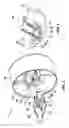 Fig. 04 - End cap assembly for a light tube