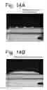 Fig. 13 - Vehicle light and road illumination device