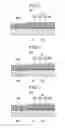 Fig. 05 - Organic light emitting diode display