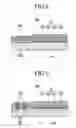 Fig. 06 - Organic light emitting diode display
