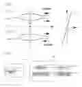 Fig. 16 - Method of locally measuring mobility of protic solvent in sample, instrument of locally measuring mobility of protic solvent in sample, measuring instrument locally measuring behavior of protic solvent in sample based on magnetic