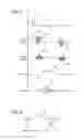 Fig. 06 - SYSTEM AND METHOD FOR PASSIVE CATHETER TRACKING WITH MAGNETIC RESONANCE IMAGING